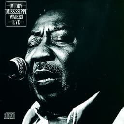 Live - Muddy Waters