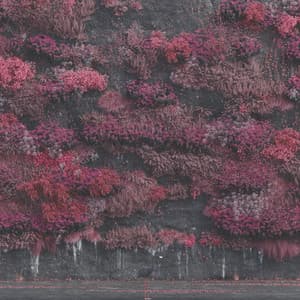 Even In Arcadia - Sleep Token