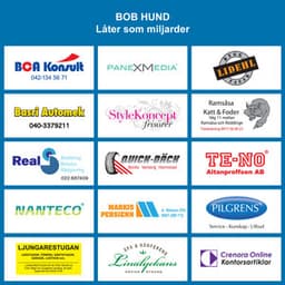 Låter som miljarder - bob hund