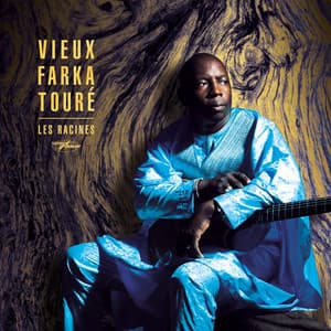 Les Racines - Vieux Farka Touré