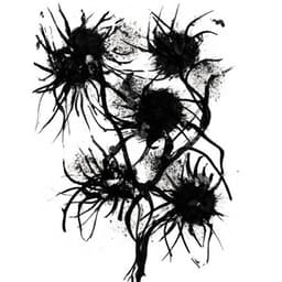 Improperis - Pascal Comelade