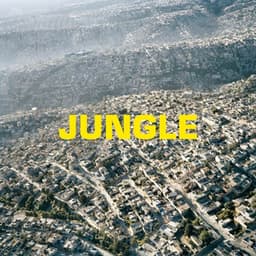 JUNGLE - The Blaze