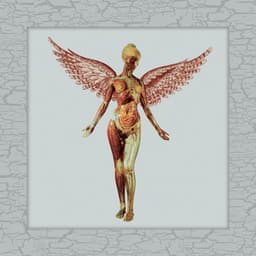 In Utero