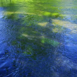 Suddenly Remixes - Caribou