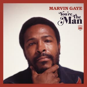 You're The Man - Marvin Gaye