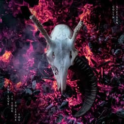 The love it took to leave you - Colin Stetson