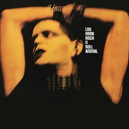 Rock 'n' Roll Animal - Lou Reed