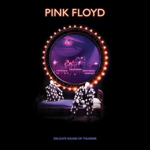 Delicate Sound of Thunder - Pink Floyd