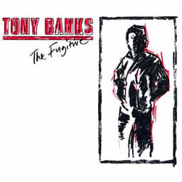 The Fugitive - Tony Banks
