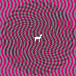 Cryptograms - Deerhunter