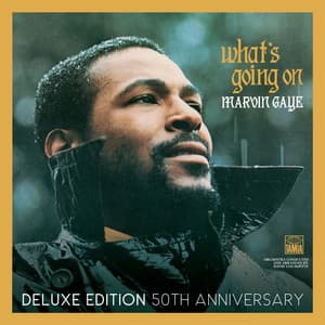 What's Going On - Marvin Gaye