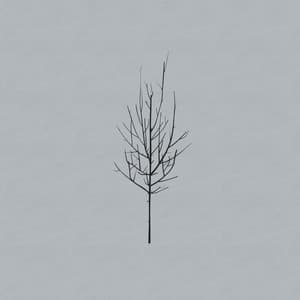 Ones and Sixes - Low