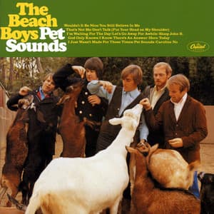 Pet Sounds - The Beach Boys