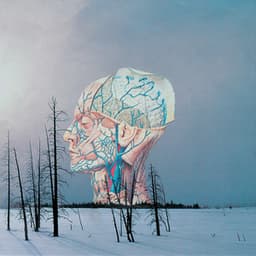 Songs for a Dead Pilot