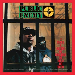 It Takes A Nation Of Millions To Hold Us Back - Public Enemy