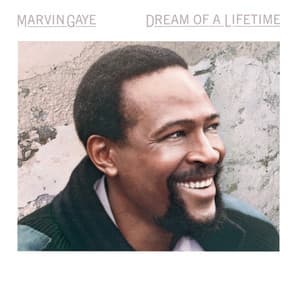Dream Of A Lifetime - Marvin Gaye