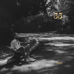 33 - Teesy