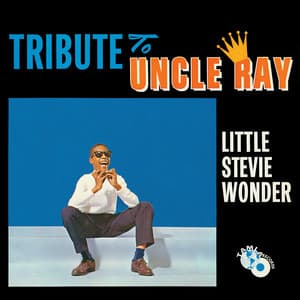Tribute To Uncle Ray - Stevie Wonder