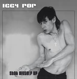 Shot Myself Up - Iggy Pop