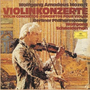 Violin Concertos
