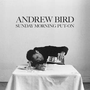 Sunday Morning Put-On - Andrew Bird