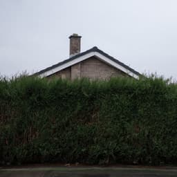 Still... At Their Very Best - The 1975