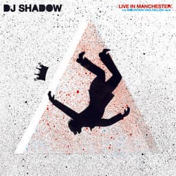 Live in Manchester: The Mountain Has Fallen Tour - DJ Shadow