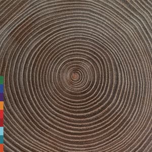 Moksha - Amjad Ali Khan