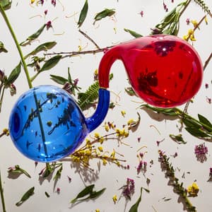 Lamp Lit Prose - Dirty Projectors