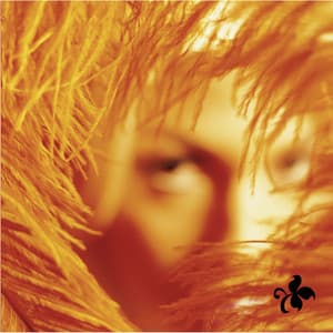 Shangri-LA DEE DA - Stone Temple Pilots