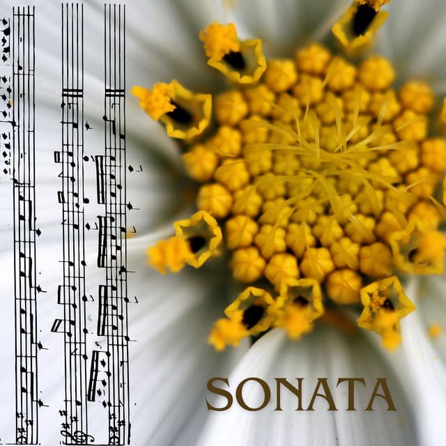 Sonata - Ludwig van Beethoven