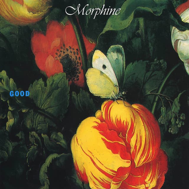 Good - Morphine