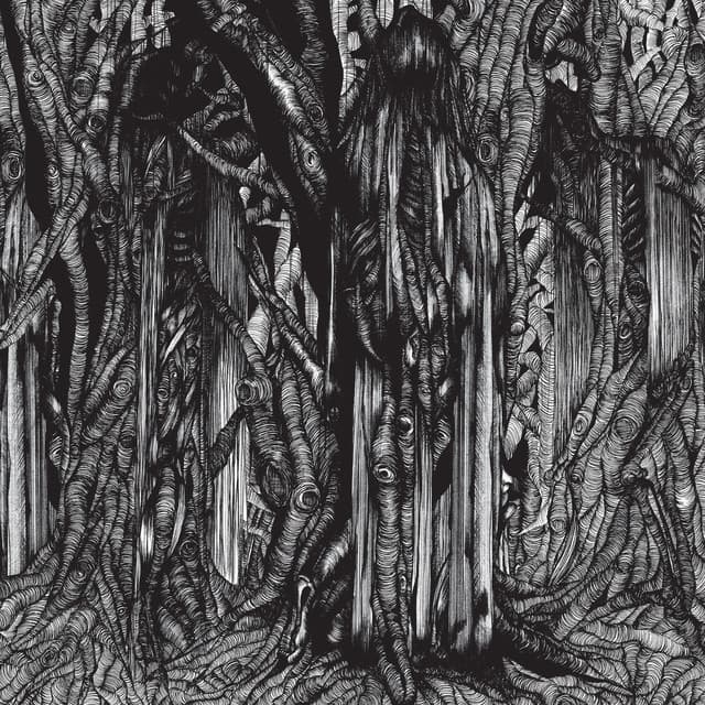 Black One - sunn O)))