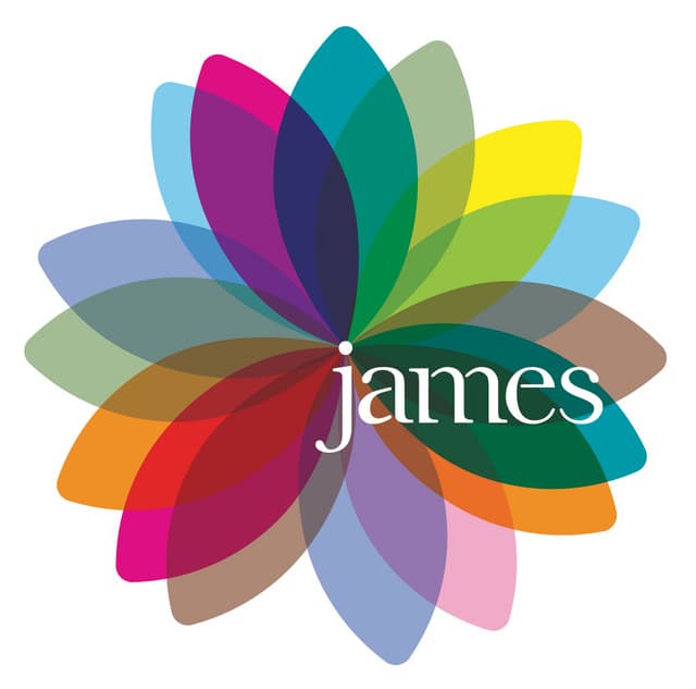 Fresh As A Daisy - The Singles - James