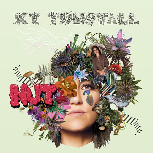 NUT - KT Tunstall