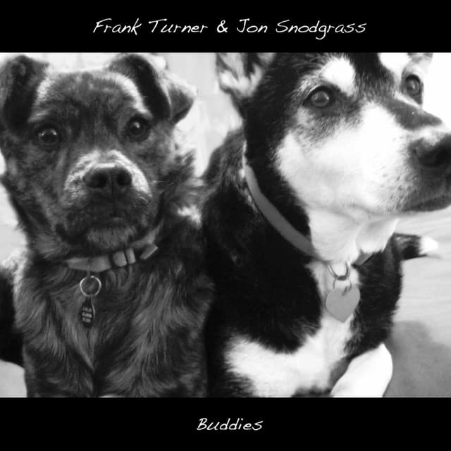 Buddies - Frank Turner