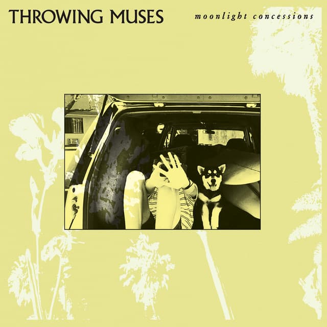 Moonlight Concessions - Throwing Muses