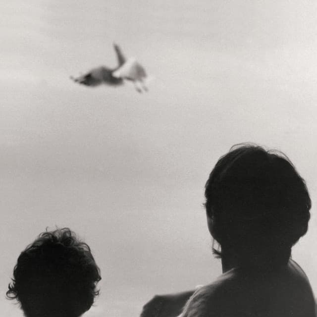 Before And Now Seems Infinite - Federico Albanese