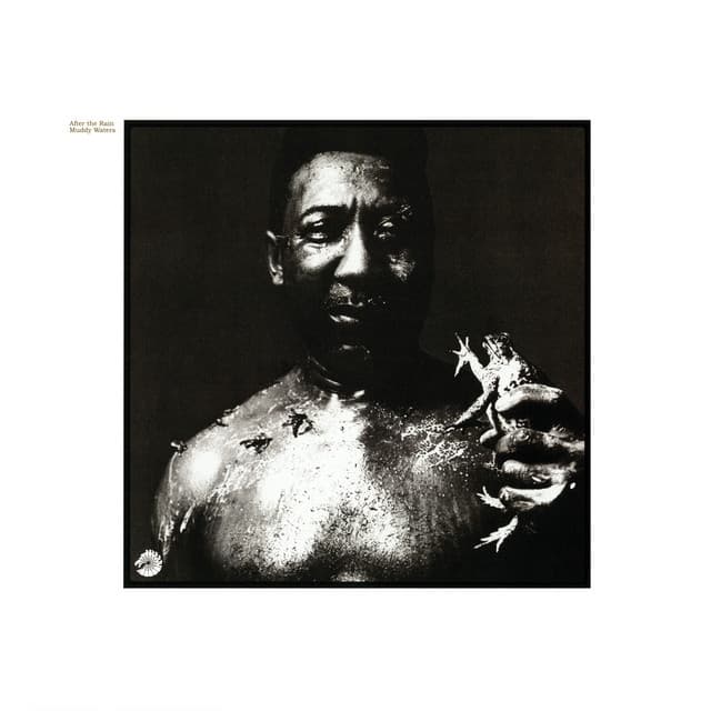 After The Rain - Muddy Waters
