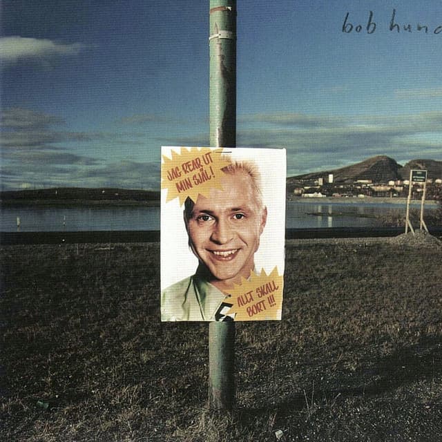 Jag rear ut min själ - bob hund