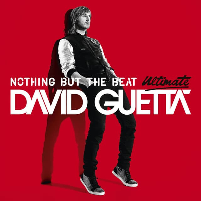 Nothing but the Beat - David Guetta