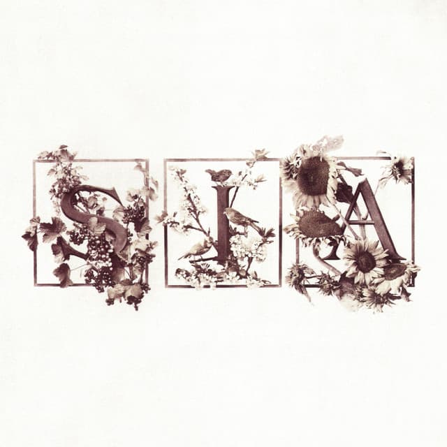 Colour The Small One - Sia