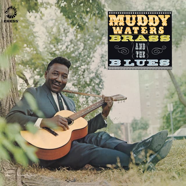 Muddy, Brass & The Blues - Muddy Waters