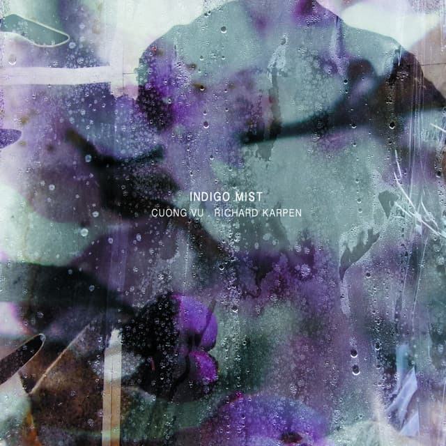 That the Days Go by and Never Come Again - Indigo Mist