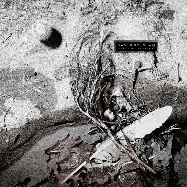 Secrets Of The Beehive - David Sylvian