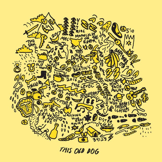 This Old Dog - Mac DeMarco