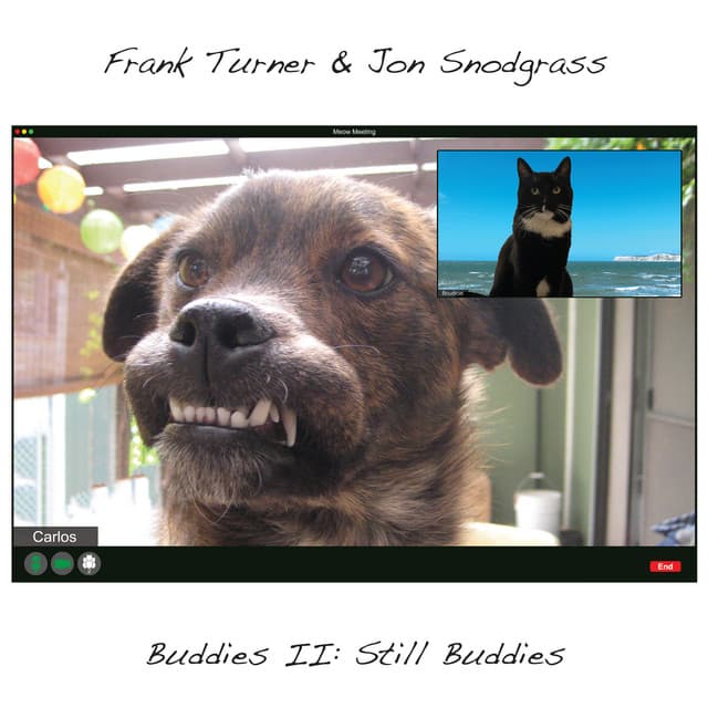 Buddies II: Still Buddies - Frank Turner