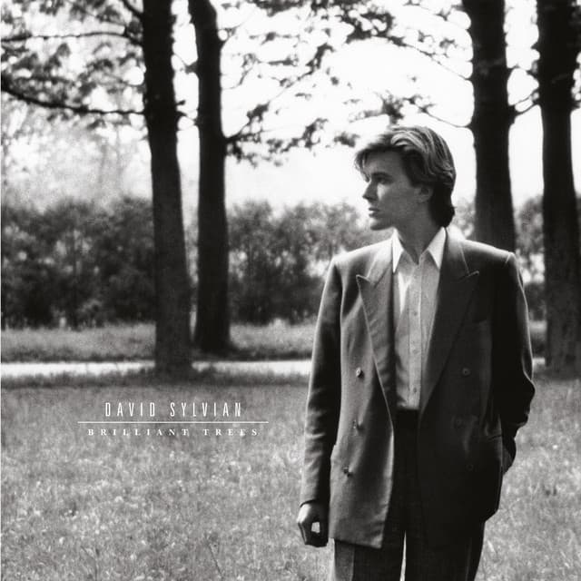 Brilliant Trees - David Sylvian