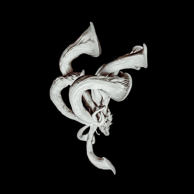 Beneath the Eyrie - Pixies