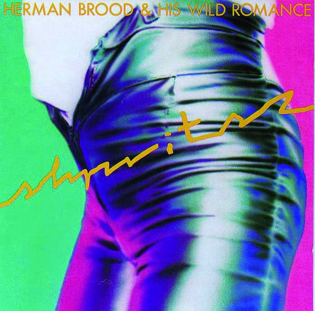 Herman Brood & His Wild Romance